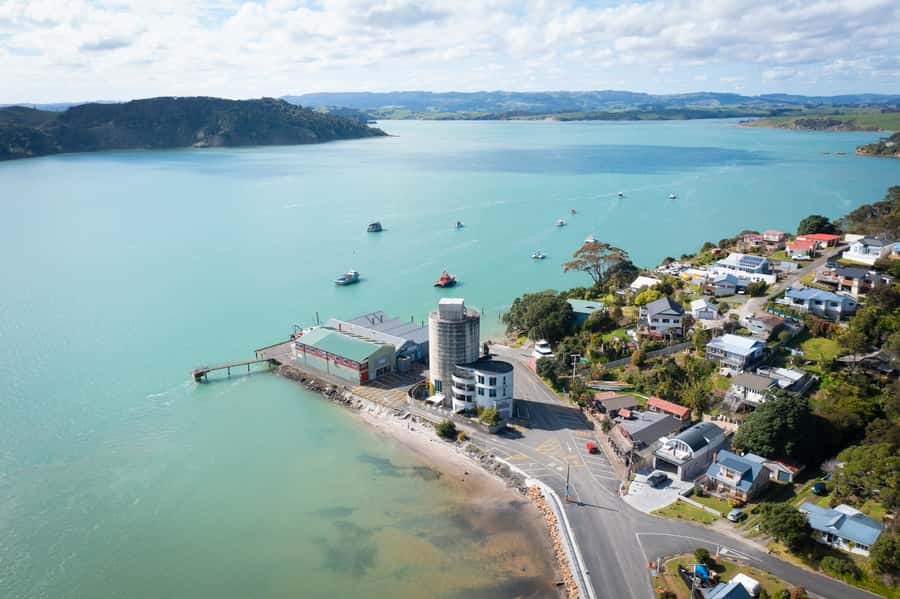 Raglan: Scenic Nature Boat Cruise - Who will enjoy this Raglan boat trip