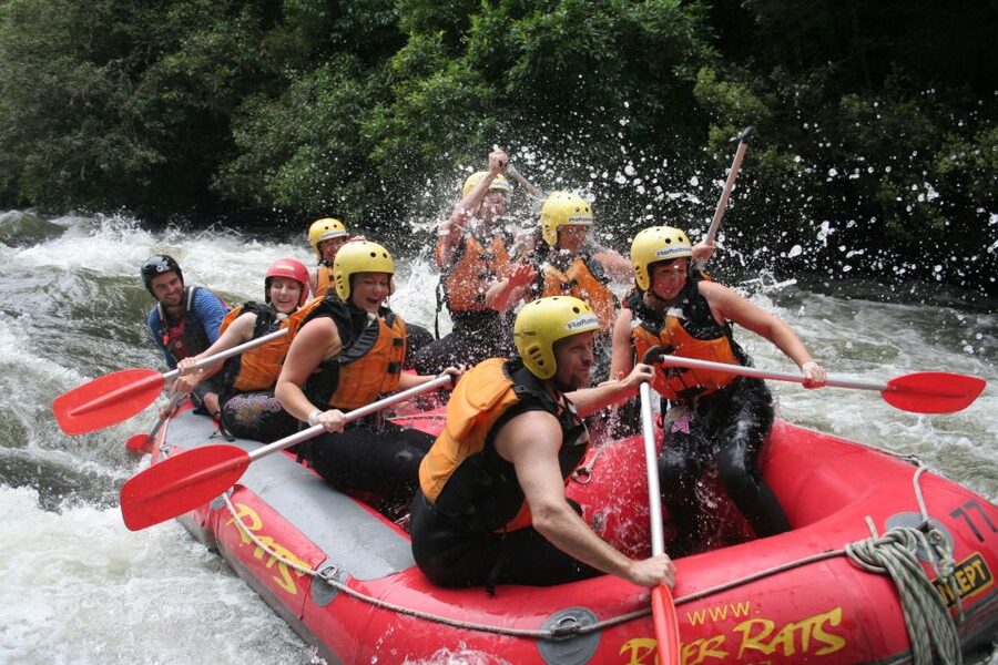 Rangitaiki Rafting Grade 3-4 - What the Rangitaiki River trip is really like