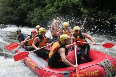 Rangitaiki River White Water Rafting from Rotorua