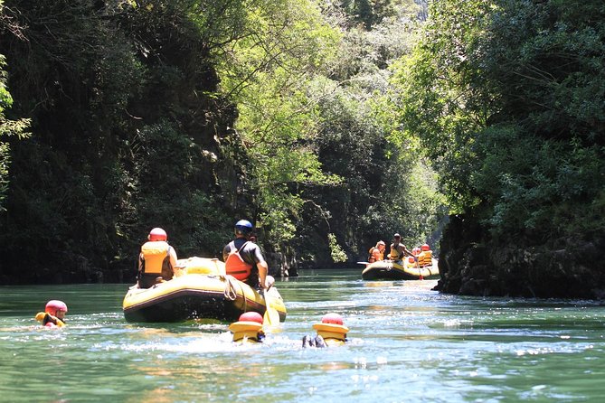 Rangitaiki River White Water Scenic Rafting from Rotorua - From Rotorua to Murupara, then the river