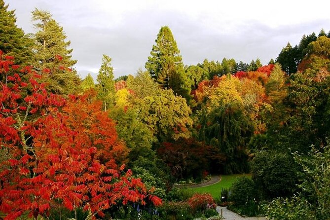 Rangitaiki River White Water Scenic Rafting from Rotorua - Is the price of $121.61 good value?