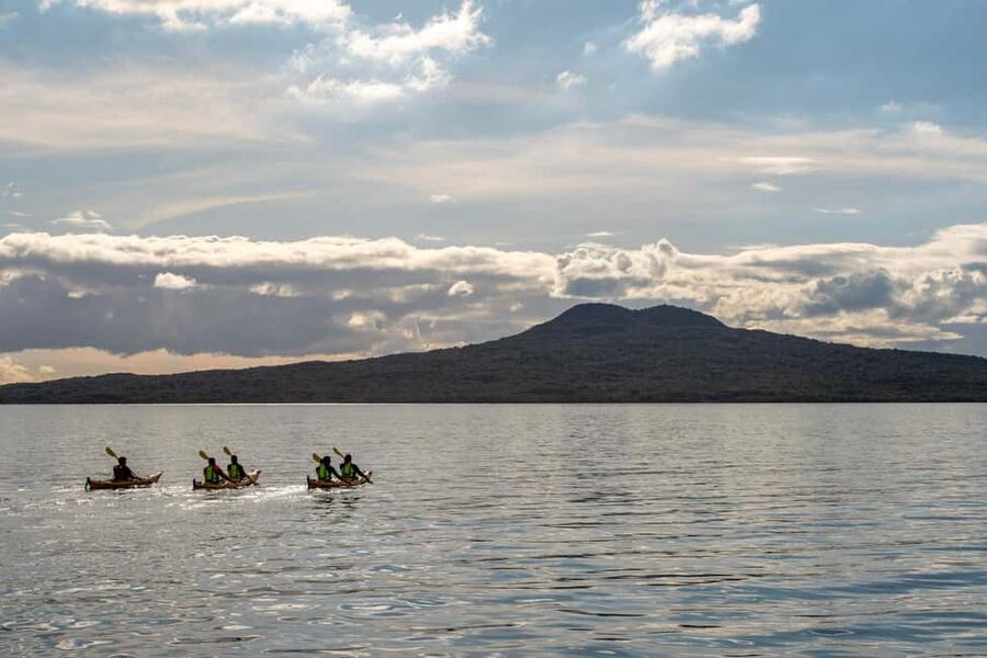 Rangitoto Island: Sea Kayak & Summit Hike Day Trip - Key points to know before you book