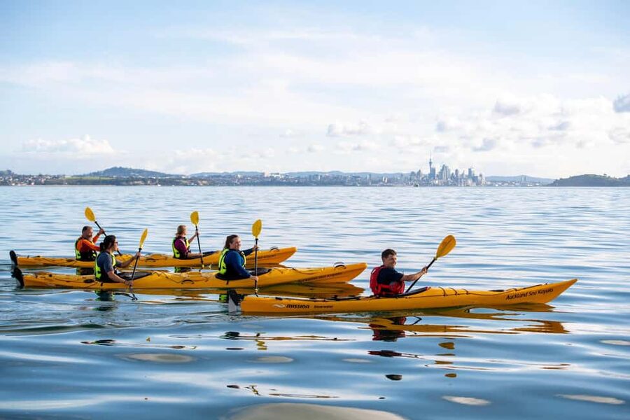 Rangitoto Island: Sea Kayak & Summit Hike Day Trip - Why Rangitoto is best seen from the water