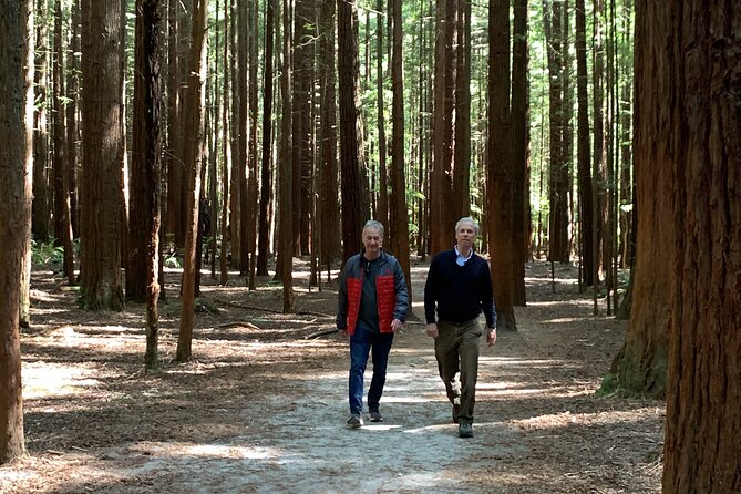 Redwood Forest , Blue Springs & Huka Falls Day Tour from Auckland - How much time you really spend out of the vehicle