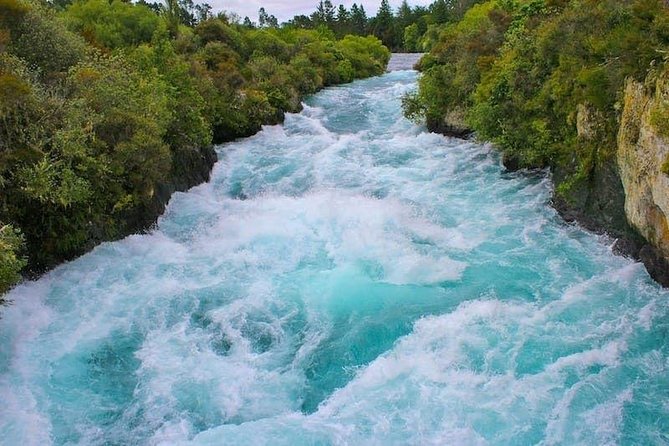 Redwood Forest , Blue Springs & Huka Falls Day Tour from Auckland - The Auckland departure and the long road south