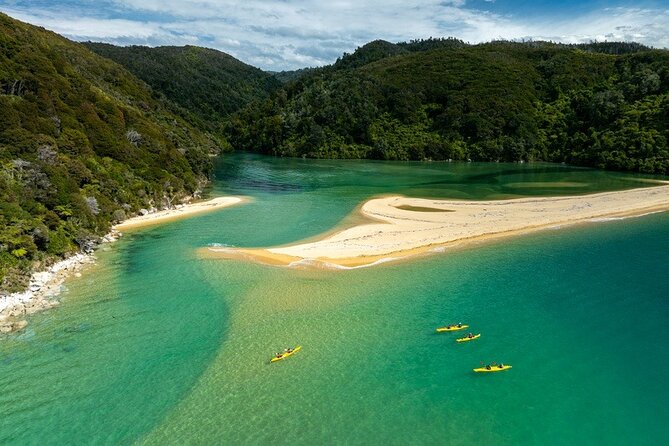 Remote Marine Reserve - Guided Kayaking - New Zealand - Who should book this kayaking day