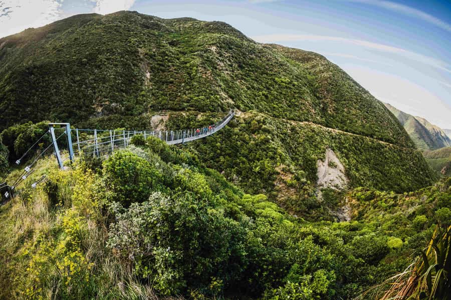 Remutaka Rail Trail eBike Shore Excursion for Cruise Ships - Key points to know before booking