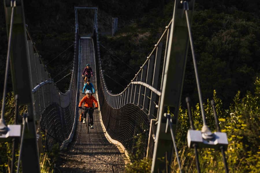Remutaka Rail Trail eBike Shore Excursion for Cruise Ships - From 151 Aotea Quay to Kaitoke by 9:15am