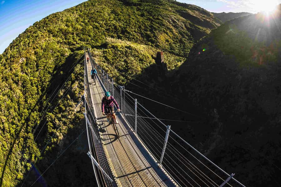 Remutaka Rail Trail eBike Shore Excursion for Cruise Ships - Why the transport timing matters on a cruise day
