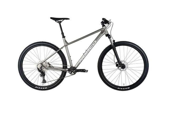 Ride Queenstown’s Stunning Trails on a Mountain Bike - Who should choose a standard bike