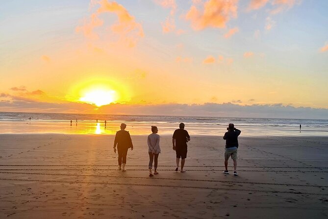 Romantic Auckland Sunset tour with Winery & Thermal pool - Should you book this Auckland sunset tour?