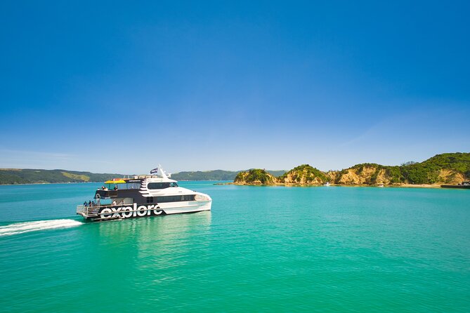 Rotoroa Island and Man O' War Vineyard Combo from Auckland - Key points at a glance