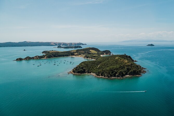 Rotoroa Island Ferry - from Auckland - Arriving on a predator-free island