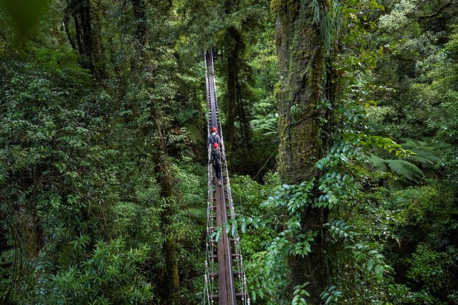 Rotorua: 6 Ziplines, 400m Tandem, Cliff Walk & Swing Bridges - Who should book this adventure