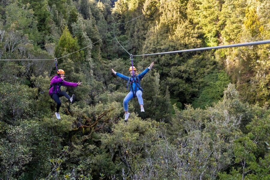 Rotorua: 6 Ziplines, 400m Tandem, Cliff Walk & Swing Bridges - Native birds and a conservation project