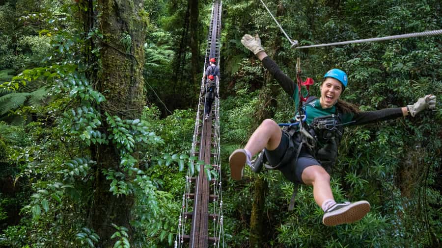 Rotorua: 6 Ziplines, Swing-Bridges & Wildlife Encounters - Entering Rotorua’s protected ancient forest