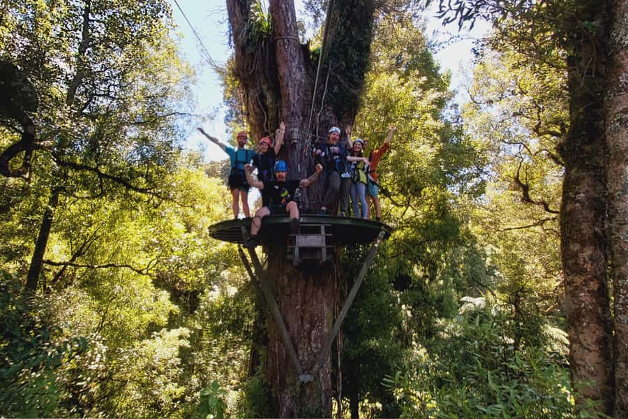 Rotorua: 6 Ziplines, Swing-Bridges & Wildlife Encounters - Weather, clothing, and comfort in the canopy