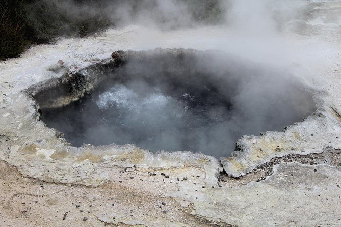 Rotorua and Waitomo Caves Day Trip from Auckland -Smaller Groups - Is $316.49 good value?