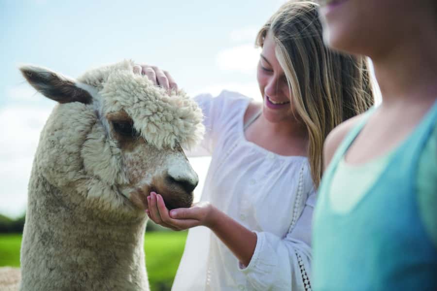 Rotorua: Authentic Kiwi Farm Experience at the Agrodome - The Animal Nursery and close encounters with young animals