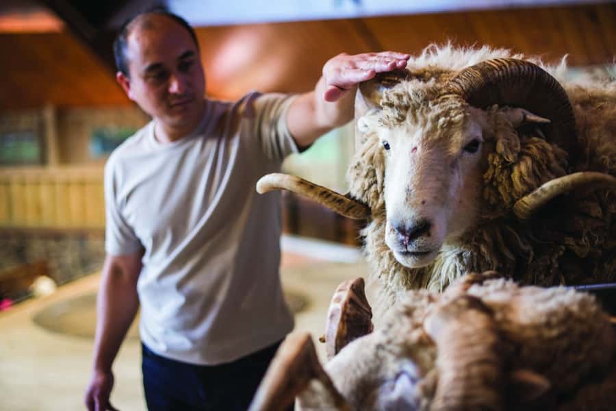 Rotorua: Authentic Kiwi Farm Experience at the Agrodome - Who will enjoy this most?