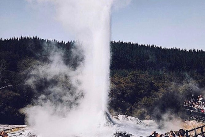 Rotorua based Small Group Morning Tour Waimangu and Wai O Tapu - Lady Knox Geyser at 10:15 am