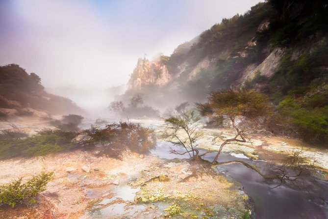 Rotorua based Small Group Morning Tour Waimangu and Wai O Tapu - Is $130.32 a fair price?