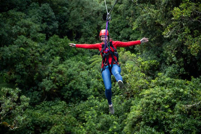 Rotorua Canopy Tours: 2.5Hour Native Forest Zipline Adventure - Six ziplines through the native canopy