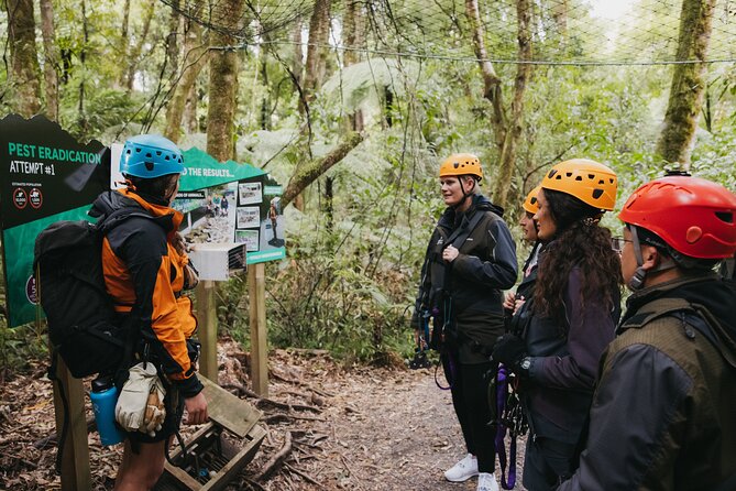 Rotorua Canopy Tours: 2.5Hour Native Forest Zipline Adventure - Bridges, platforms, and the parts between the cables