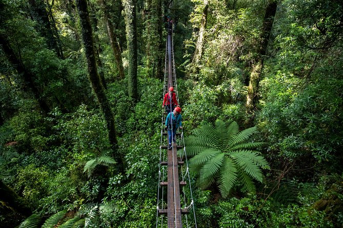 Rotorua Canopy Tours: 2.5Hour Native Forest Zipline Adventure - Forest restoration adds value to the price