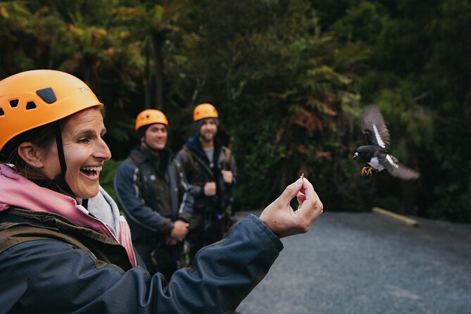 Rotorua Canopy Tours: 2.5Hour Native Forest Zipline Adventure - Rain, clothing, and the Rotorua weather question