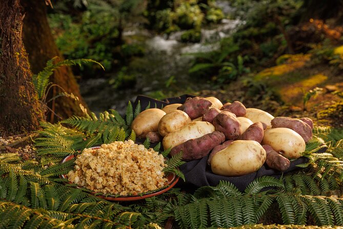 Rotorua Cultural & Geothermal Small Group Tour From Auckland - What the long return journey feels like