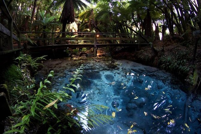 Rotorua Cultural & Geothermal Small Group Tour From Auckland - Leaving Auckland at 7:00 am