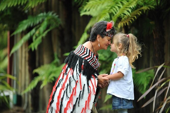 Rotorua Discovery Te Puia Tour - From Tauranga port to the volcanic heart of Rotorua
