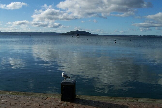 Rotorua Discovery Te Puia Tour - What the guides add to the day