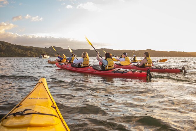 Rotorua: Evening Starlight Gourmet Kayak Tour Glowworms - Why the glowworm cave is the main event