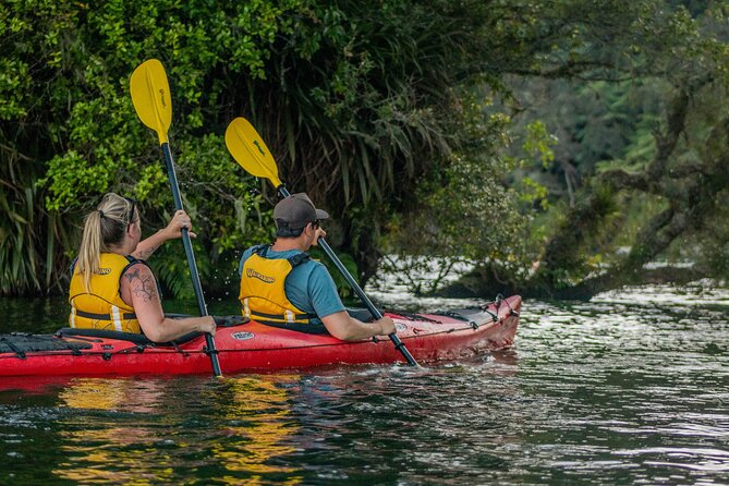 Rotorua: Evening Starlight Gourmet Kayak Tour Glowworms - The return paddle under the evening sky