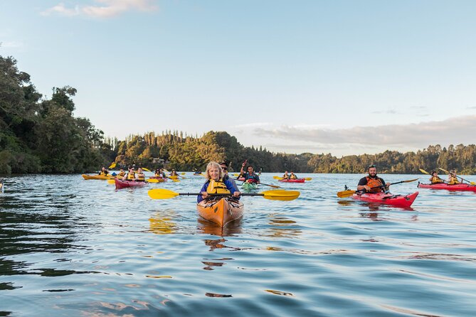 Rotorua: Evening Starlight Gourmet Kayak Tour Glowworms - Who will enjoy this Rotorua evening