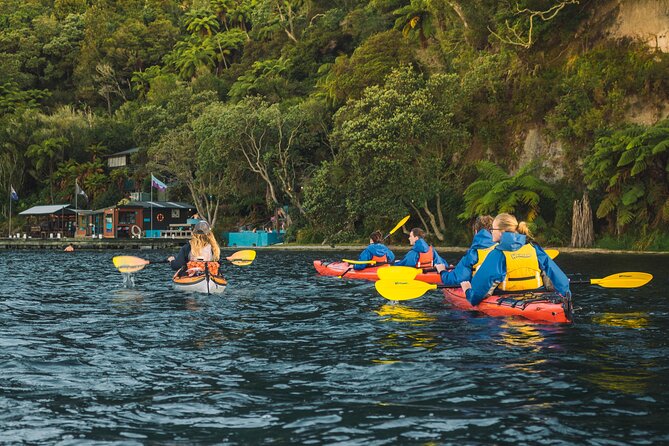 Rotorua: Evening Starlight Gourmet Kayak Tour Glowworms - Manupirua Hot Pools, reached only by water