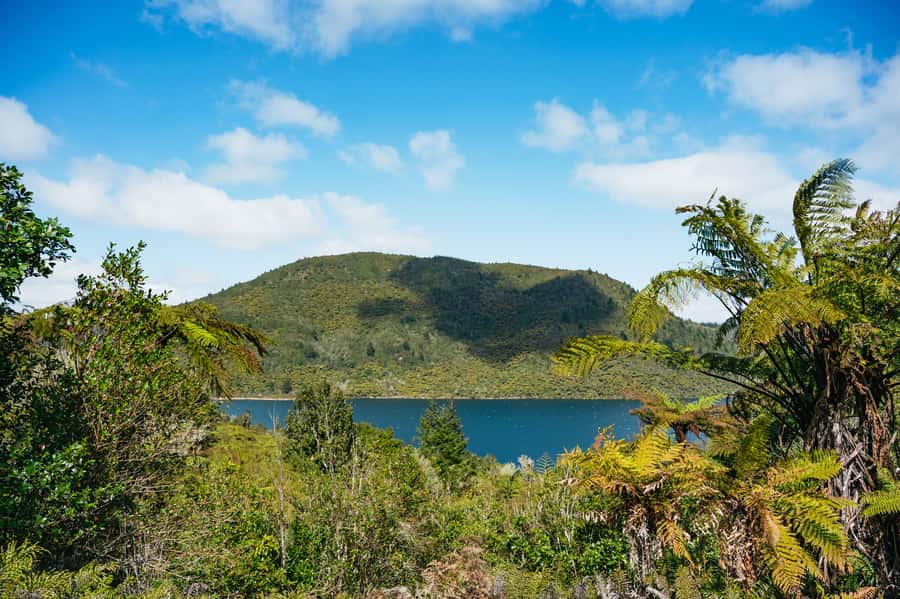 Rotorua: Explore The Lakes Half-Day Morning Tour - Why this four-hour route works well