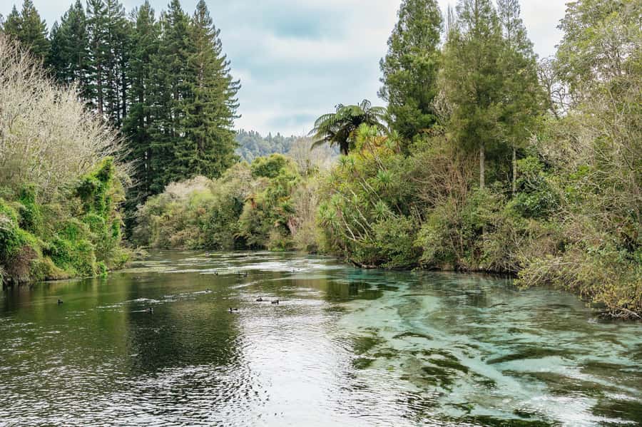 Rotorua: Explore The Lakes Half-Day Morning Tour - Walking beside the Kaituna River