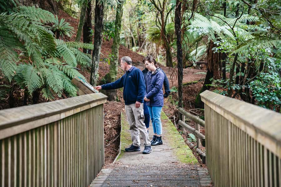 Rotorua: Explore The Lakes Half-Day Morning Tour - What Stephen adds to the morning