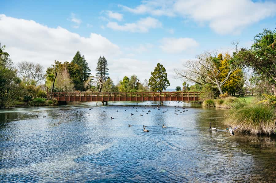 Rotorua: Explore The Lakes Half-Day Morning Tour - Is $89 good value?