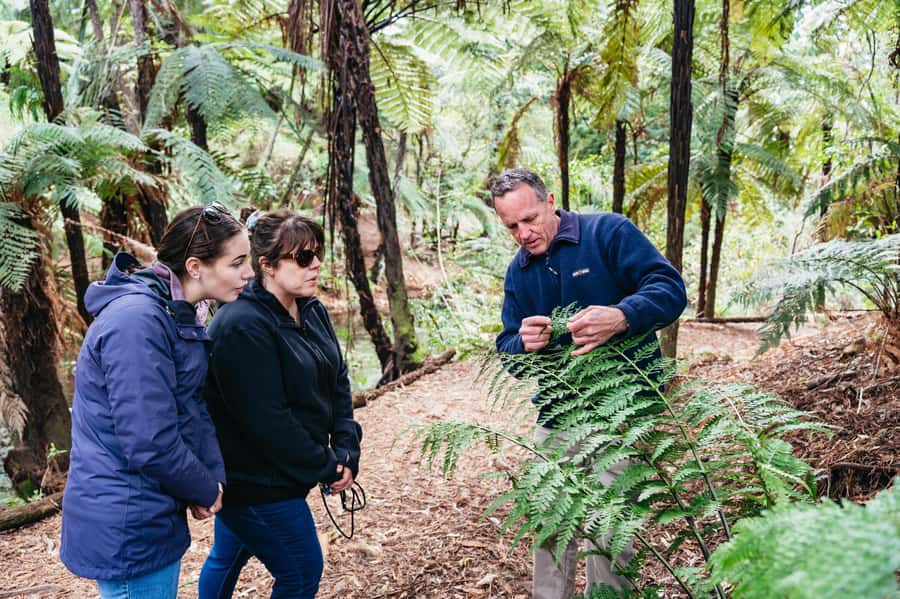 Rotorua: Explore The Lakes Half-Day Morning Tour - Hamurana Springs and the redwood walk
