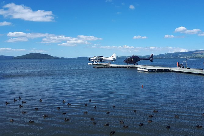 Rotorua Full Day Private Tour from Auckland - Mud pools and Pohutu Geyser