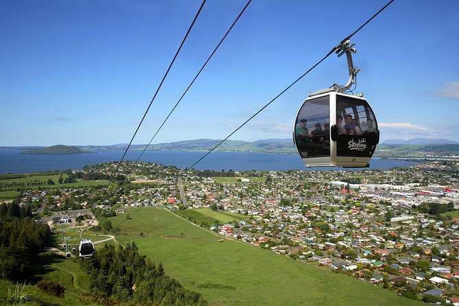 Rotorua Full Day Private Tour from Auckland - Kiwi conservation adds a quieter side