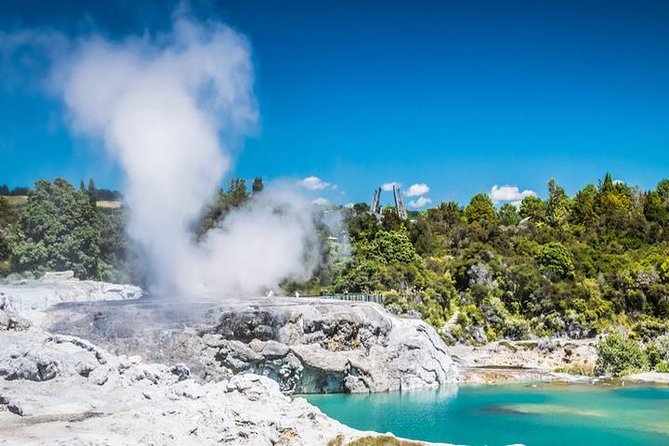 Rotorua Full Day Private Tour from Auckland - Te Puia, where culture and geothermal power meet
