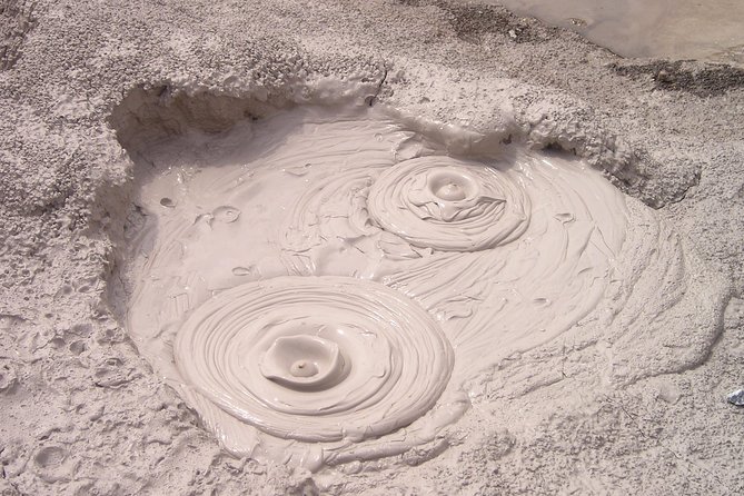 Rotorua Geothermal Wonderland Tour – Departs Tauranga - Who will get the most from this Rotorua trip?