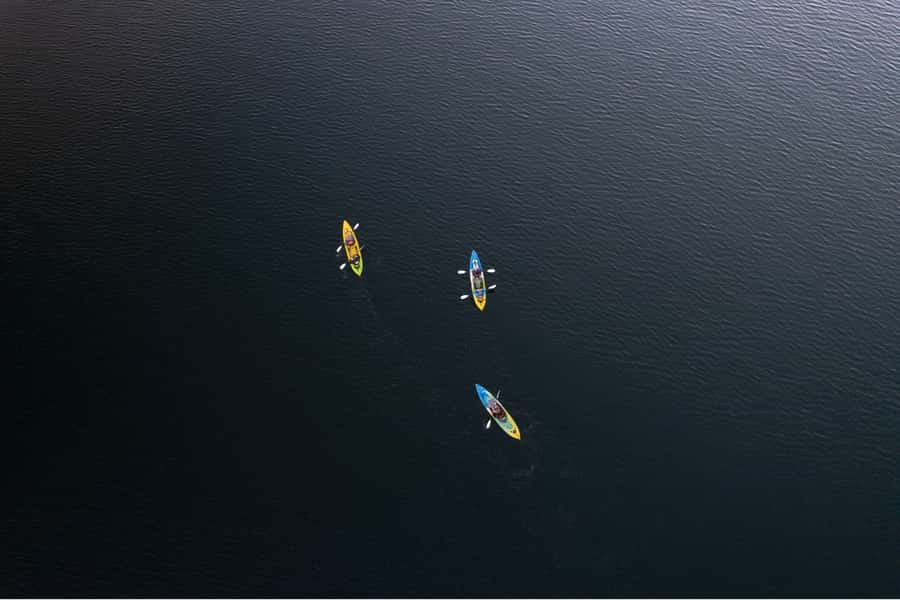 Rotorua: Glow Worm Kayak Tour - Stargazing turns the return trip into part of the show