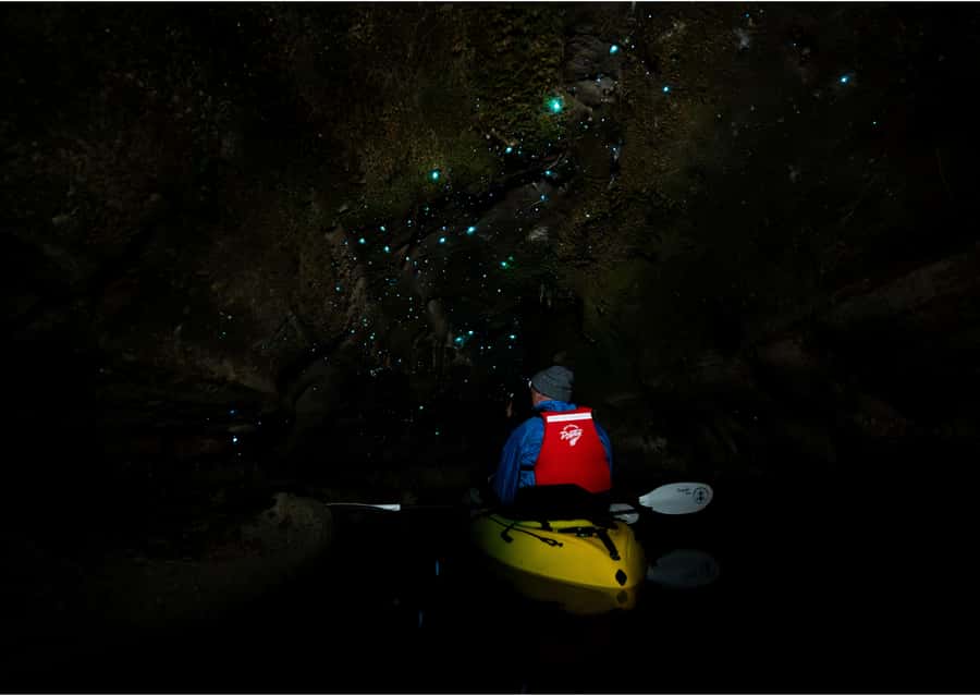 Rotorua: Glow Worm Kayak Tour - Families, solo visitors, and nervous beginners