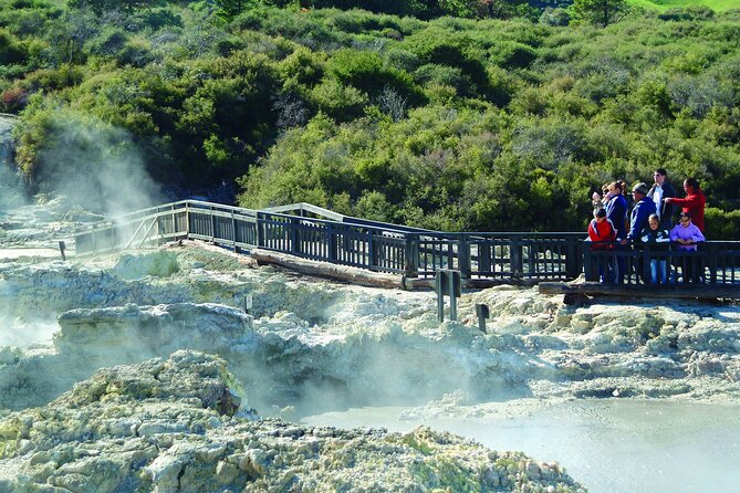 ROTORUA - Hell's Gate Geothermal Park & Mud Spa Day Trip - Who will enjoy this most?